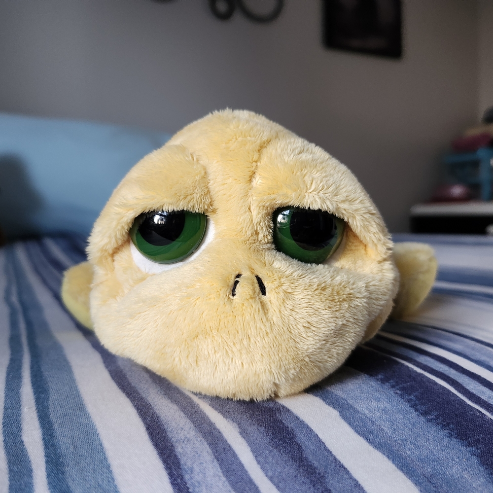Russ Berrie Lil Peepers Turtle